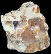 Azurite Crystal in Matrix - Morocco #49449-1